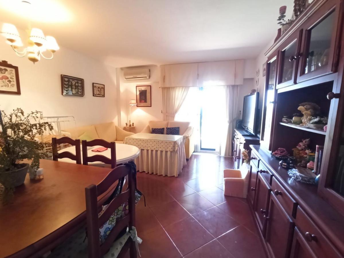 Alcaudon Frontal Al Mar Apartment *
